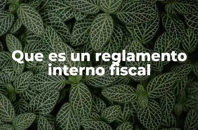 Que es un Reglamento Interno Fiscal