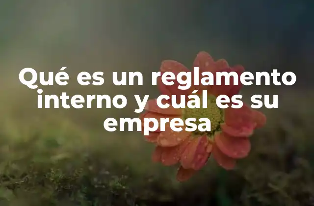 Qué es un Reglamento Interno y Cuál es Su Empresa