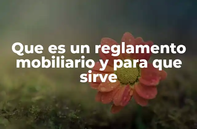 Que es un Reglamento Mobiliario y para que Sirve 2 Cómo se establecen las normas de uso del mobiliario en un entorno determinado