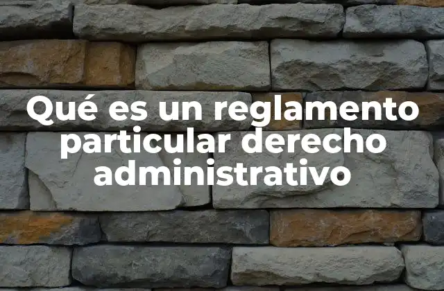 Qué es un Reglamento Particular Derecho Administrativo