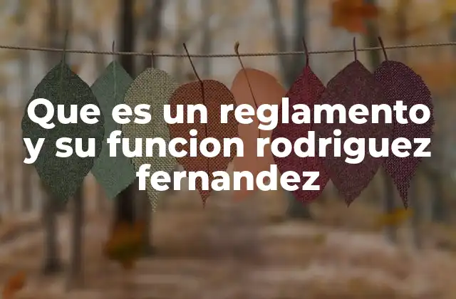 Que es un Reglamento y Su Funcion Rodriguez Fernandez