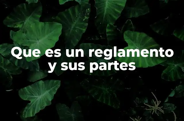 Que es un Reglamento y Sus Partes