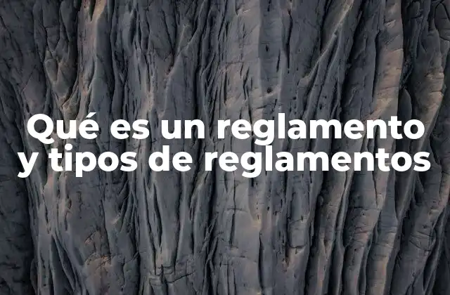 Qué es un Reglamento y Tipos de Reglamentos