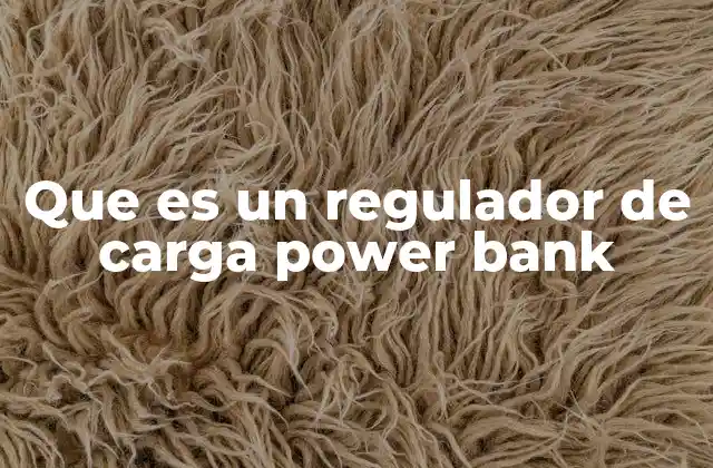 Que es un Regulador de Carga Power Bank
