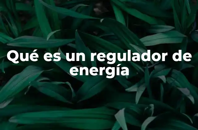 Qué es un Regulador de Energía