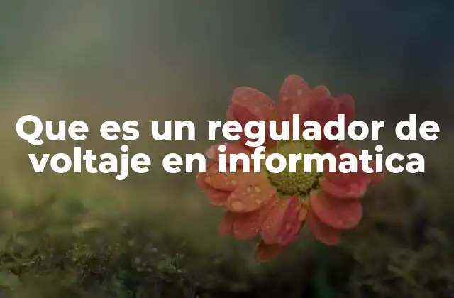 Que es un Regulador de Voltaje en Informatica