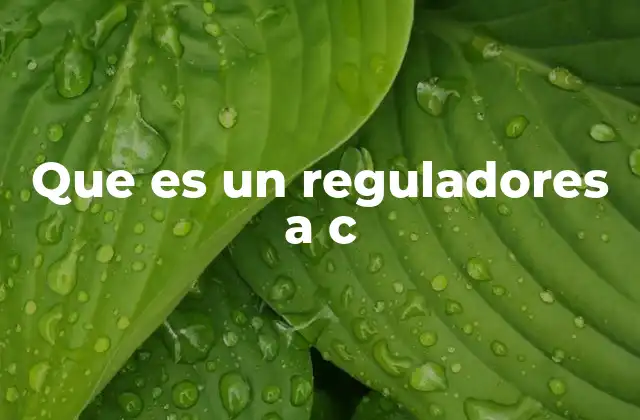 Que es un Reguladores a C