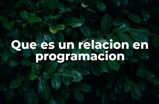 Que es un Relacion en Programacion