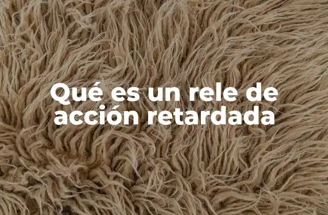 Qué es un Rele de Acción Retardada