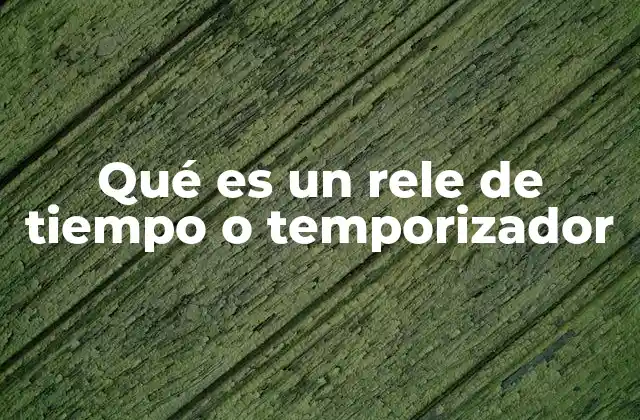 Qué es un Rele de Tiempo o Temporizador