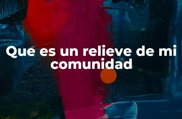 Que es un Relieve de Mi Comunidad