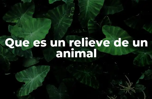 La importancia de los animales en el arte en relieve