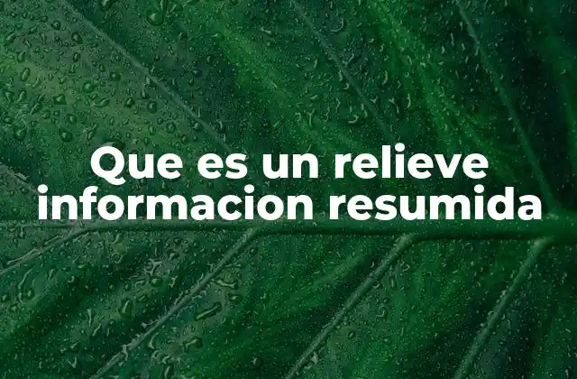 Que es un Relieve Informacion Resumida