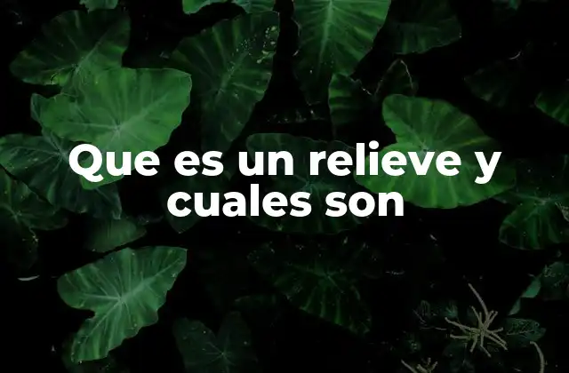Que es un Relieve y Cuales Son