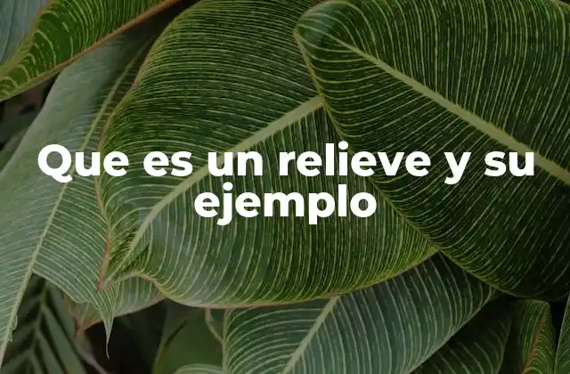 Que es un Relieve y Su Ejemplo 2 La importancia del relieve en la geografía