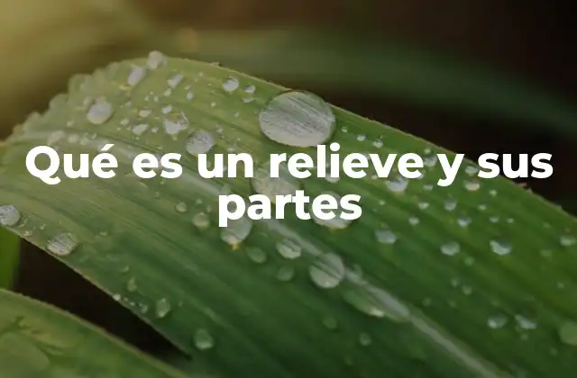 Qué es un Relieve y Sus Partes