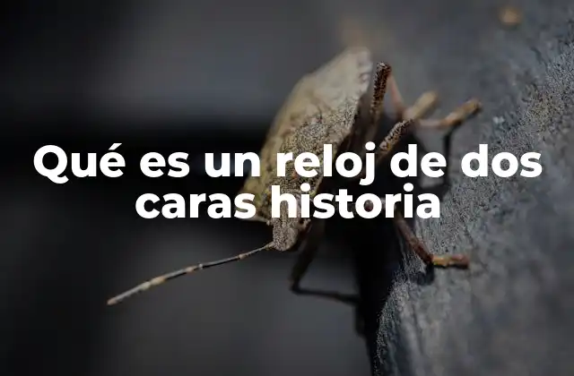 Qué es un Reloj de Dos Caras Historia