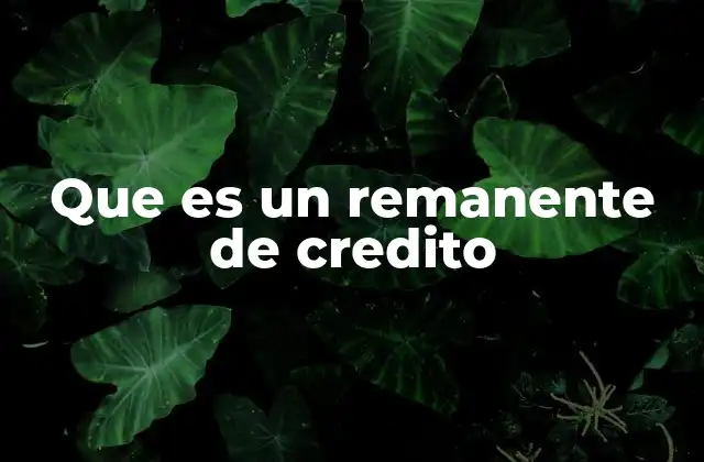 Que es un Remanente de Credito
