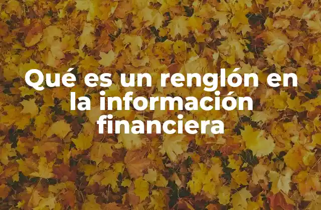 Qué es un Renglón en la Información Financiera