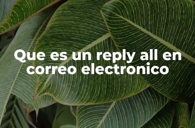 Que es un Reply All en Correo Electronico 2 La importancia de usar reply all con responsabilidad