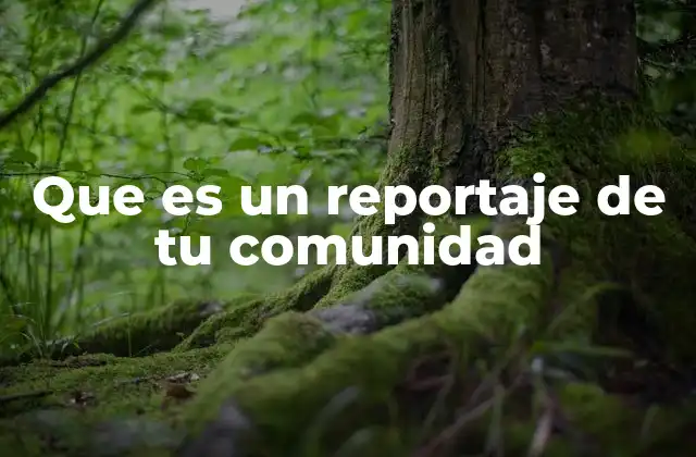 Que es un Reportaje de Tu Comunidad