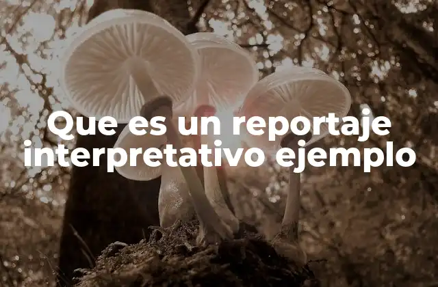Que es un Reportaje Interpretativo Ejemplo