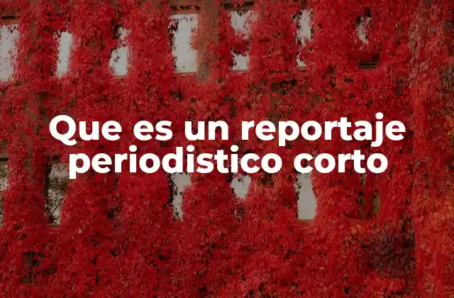 Que es un Reportaje Periodistico Corto