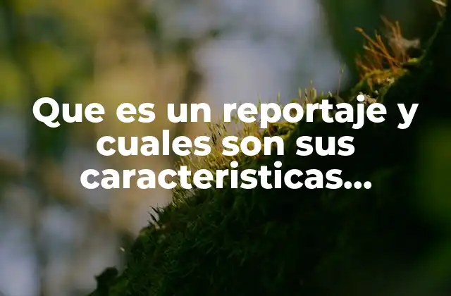 Que es un Reportaje y Cuales Son Sus Caracteristicas Principales