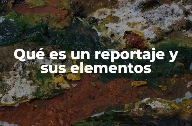 Qué es un Reportaje y Sus Elementos