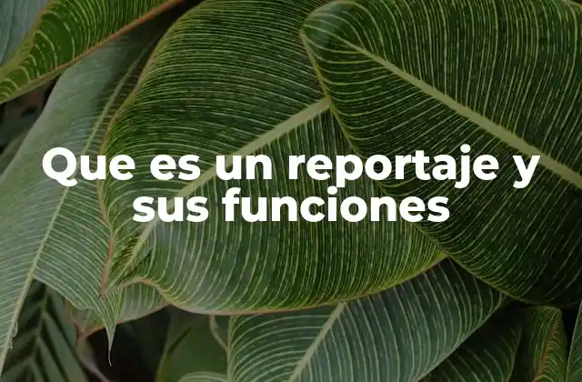 Que es un Reportaje y Sus Funciones