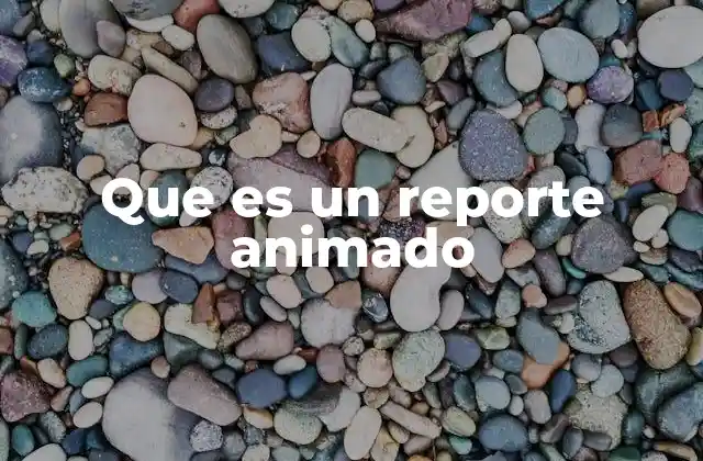 Que es un Reporte Animado