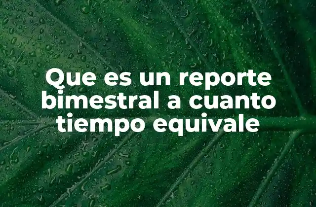 Que es un Reporte Bimestral a Cuanto Tiempo Equivale