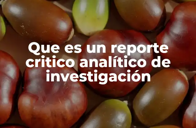 Que es un Reporte Critico Analítico de Investigación