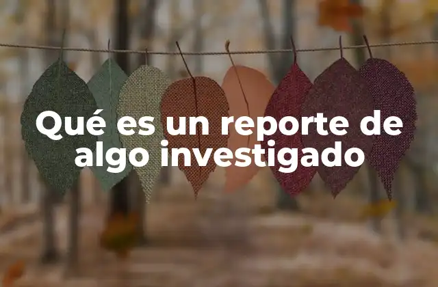 Qué es un Reporte de Algo Investigado