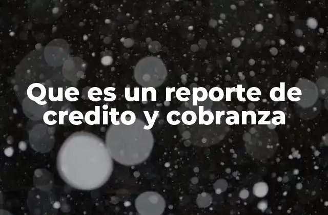 Que es un Reporte de Credito y Cobranza