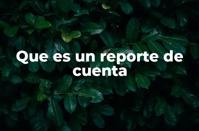 Que es un Reporte de Cuenta