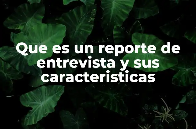 Que es un Reporte de Entrevista y Sus Caracteristicas