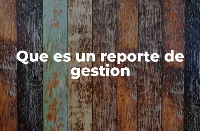 Que es un Reporte de Gestion