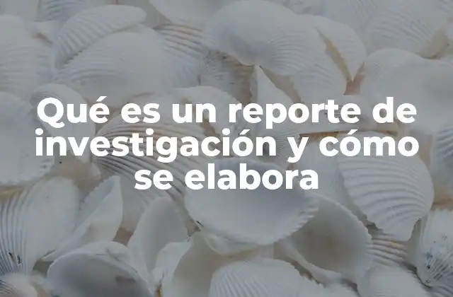 Qué es un Reporte de Investigación y Cómo Se Elabora