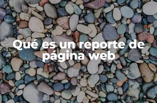 Qué es un Reporte de Página Web