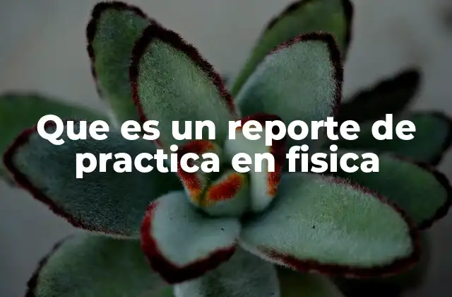 Que es un Reporte de Practica en Fisica