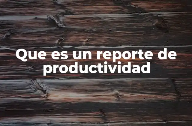 Que es un Reporte de Productividad