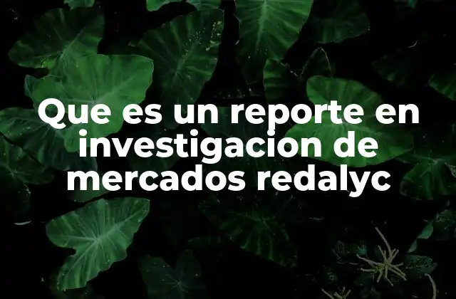 Que es un Reporte en Investigacion de Mercados Redalyc