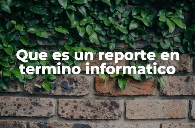 La importancia de los reportes en el manejo de datos