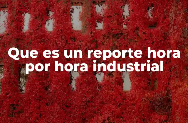 Que es un Reporte Hora por Hora Industrial
