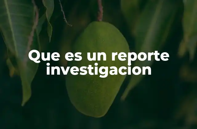 Que es un Reporte Investigacion 2 La importancia de estructurar correctamente un documento de análisis