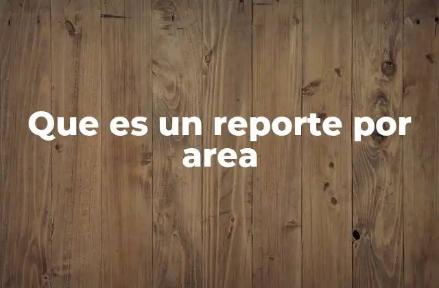 Que es un Reporte por Area