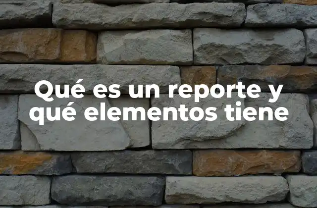 Qué es un Reporte y Qué Elementos Tiene