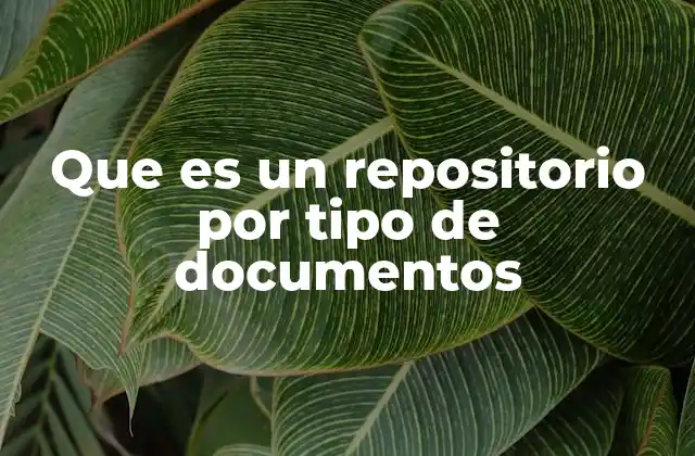 Que es un Repositorio por Tipo de Documentos