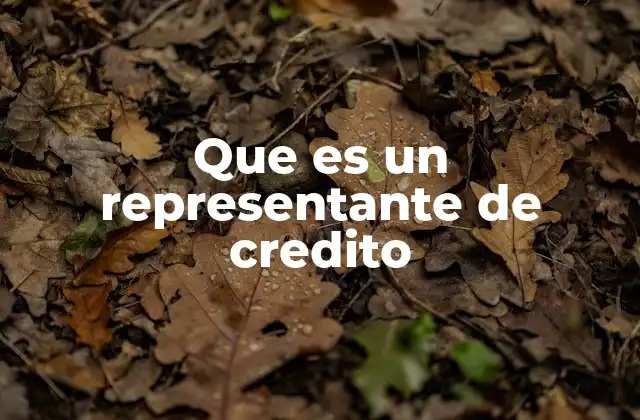 Que es un Representante de Credito